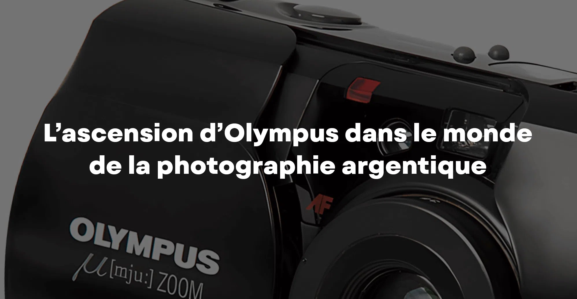 Lot Vintage Appareils Photo Numériques Et Argentiques Nikon Canon Olympus IPAQ