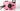 Konica pop rose - Appareil photo argentique - BromureFilm