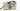 Vivitar EZ Motor BIG VIEW Beige - Appareil photo argentique - BromureFilm